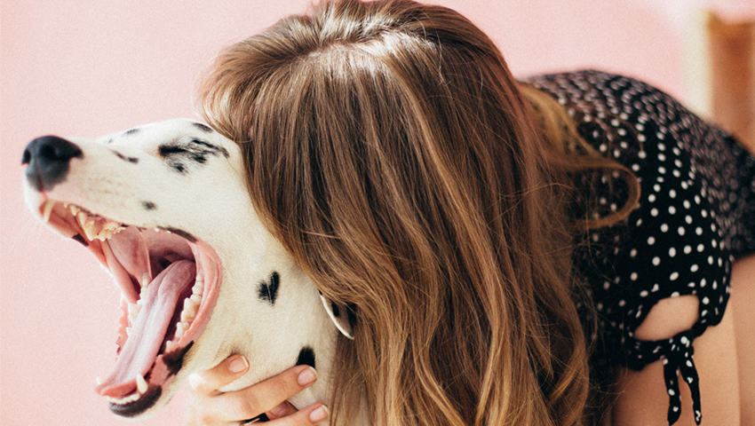 10 Actividades para hacer con tu perro en casa